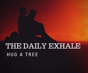 Hug a tree